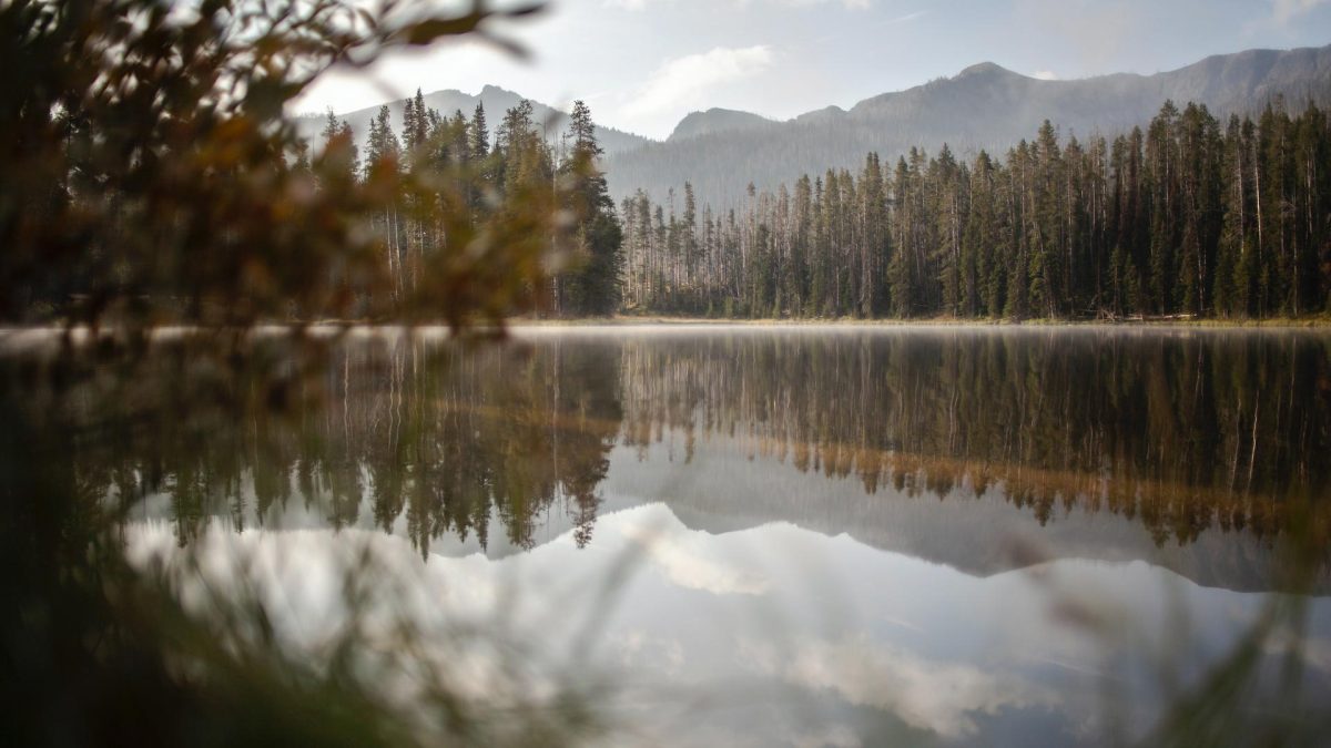 Yellowstone Lake near Fishing Bridge