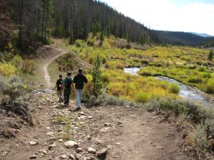 Explore Cody & Yellowstone: Your Basecamp Guide from Old Faithful RV Park 6 Old Faithful RV Park near Yellowstone East Entrance Cody Wyoming