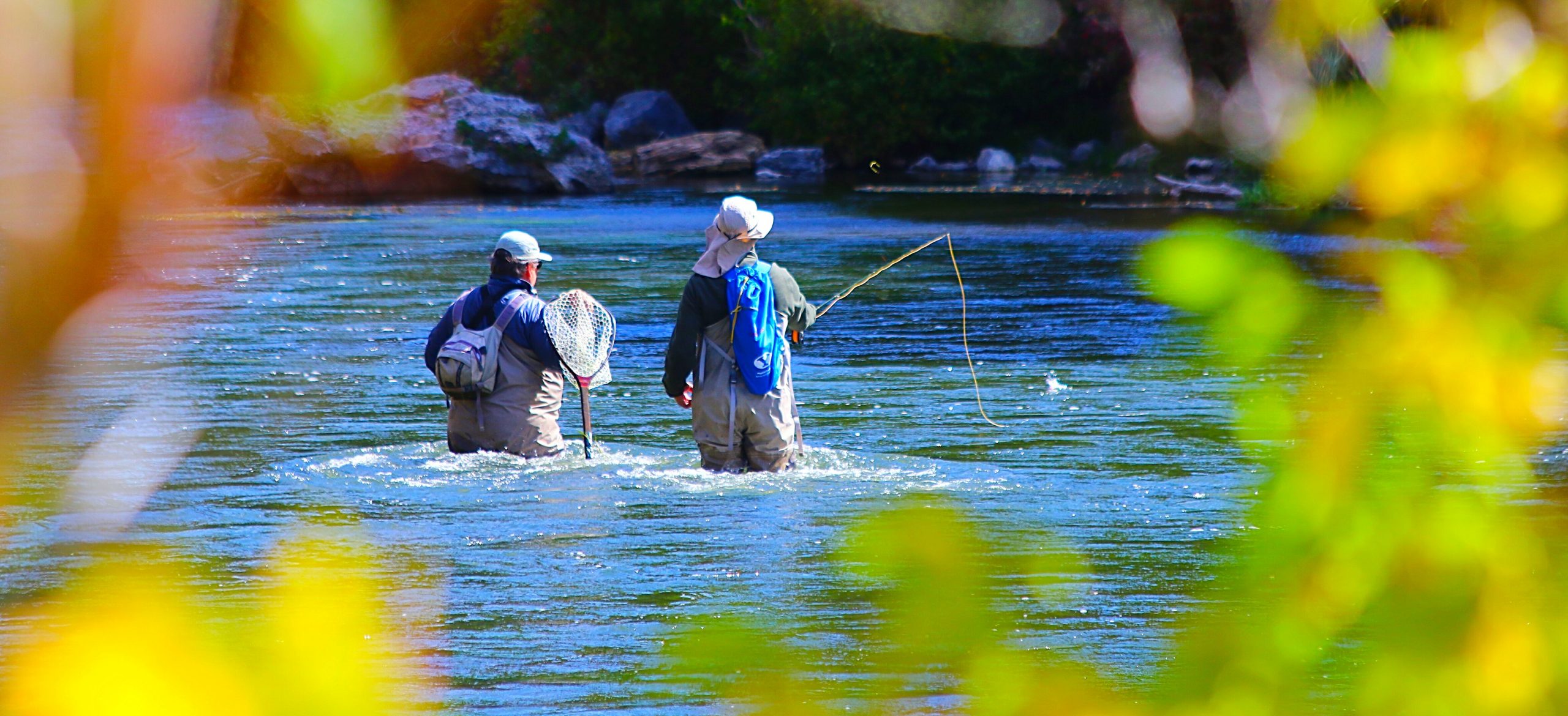 Fly Fishing the North Fork Shoshone River — Complete Guide