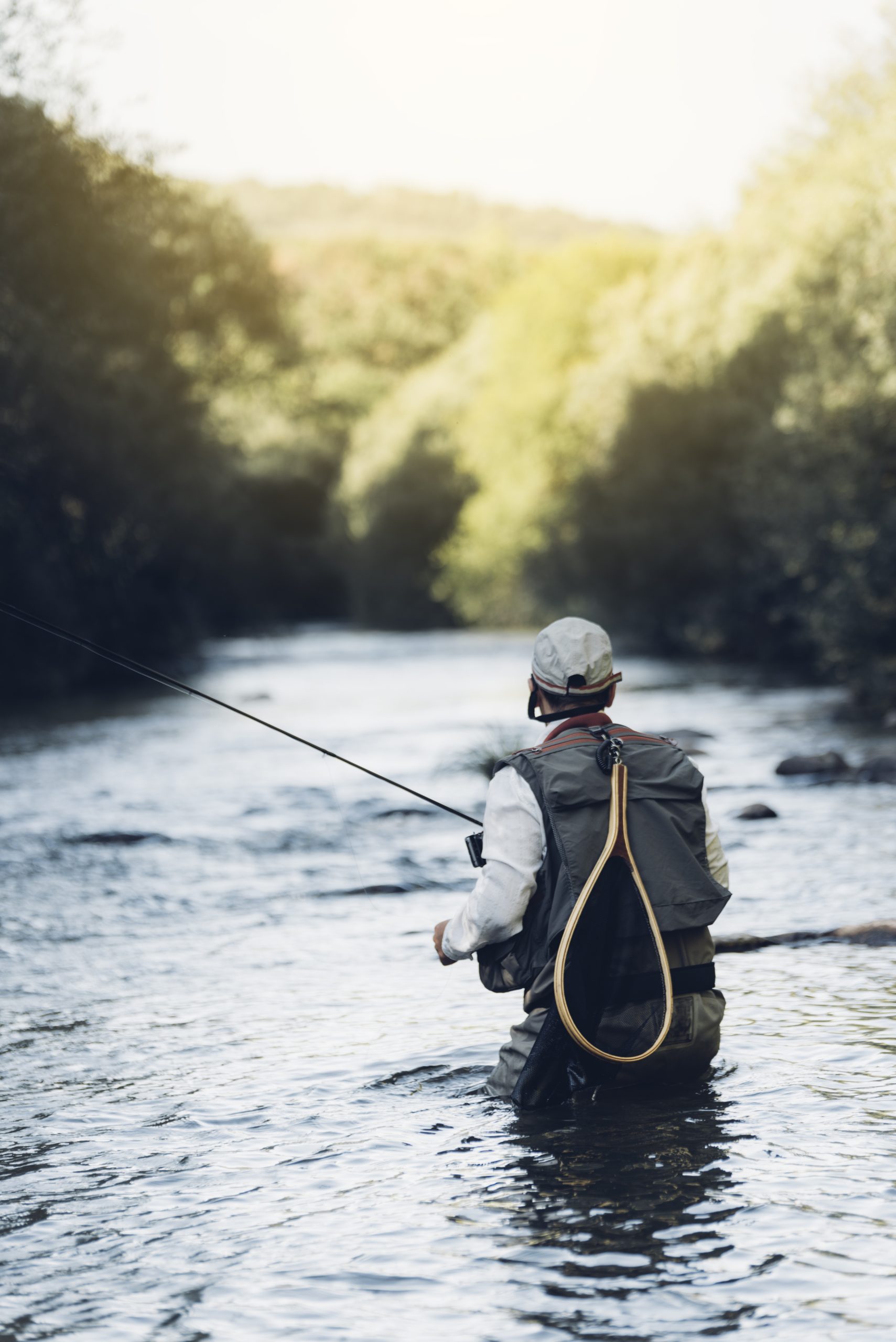 Fly Fishing the North Fork Shoshone River — Complete Guide