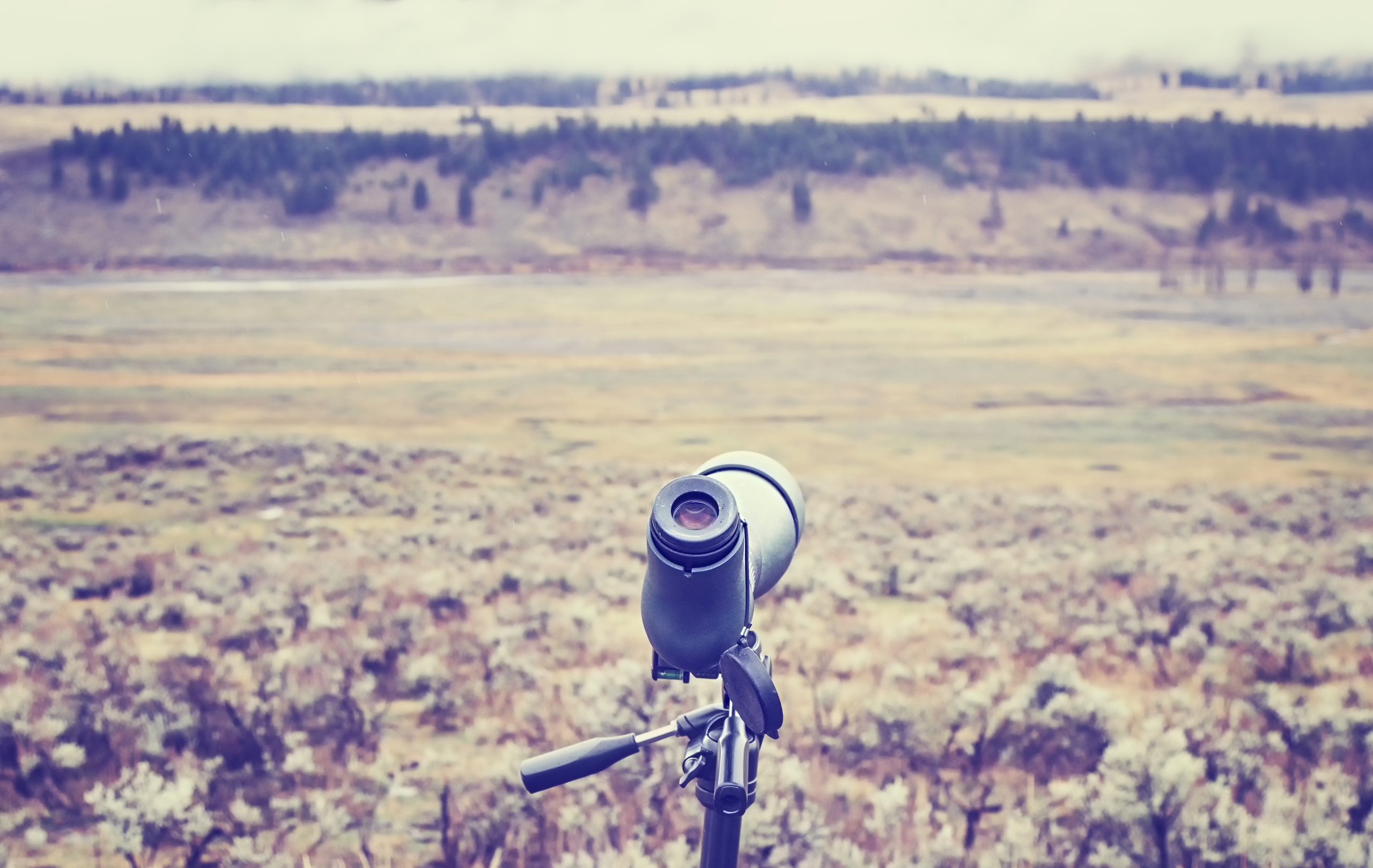 Yellowstone Wildlife Watching: Your Complete Season by Season Guide 18 Yellowstone Wildlife Watching Spotting Scope