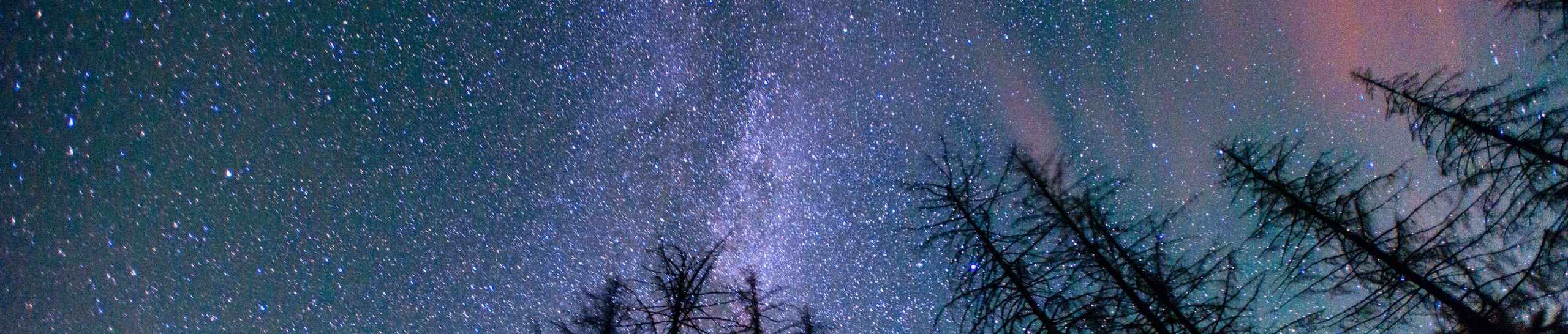 Dark Sky Stargazing Yellowstone