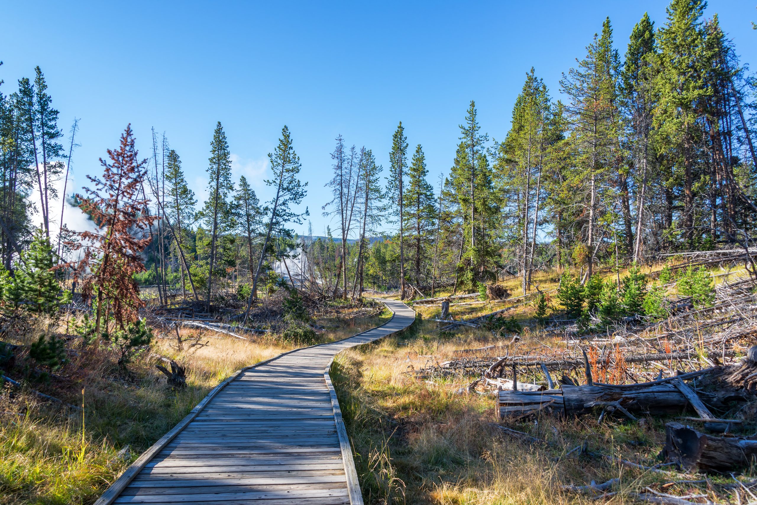 Hiking near Yellowstone East Gate
