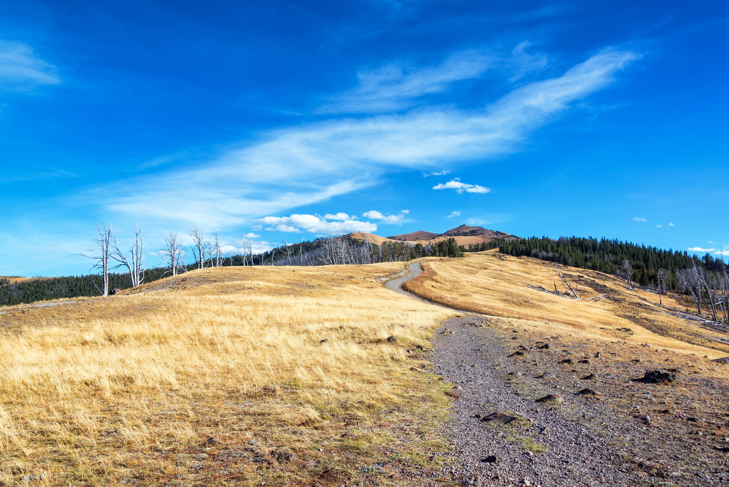 Hiking near Yellowstone East Gate