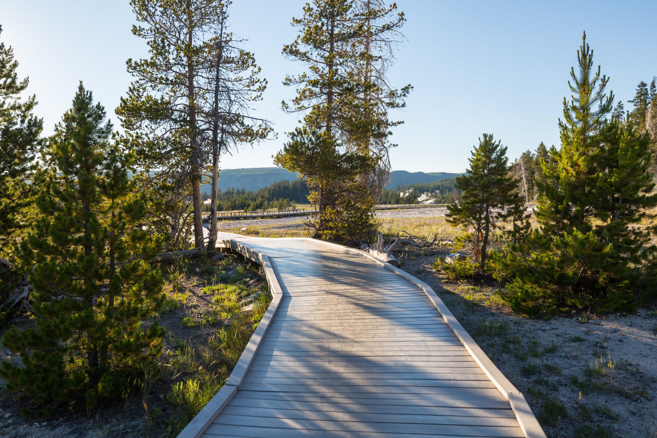 Yellowstone With Kids Boardwalk