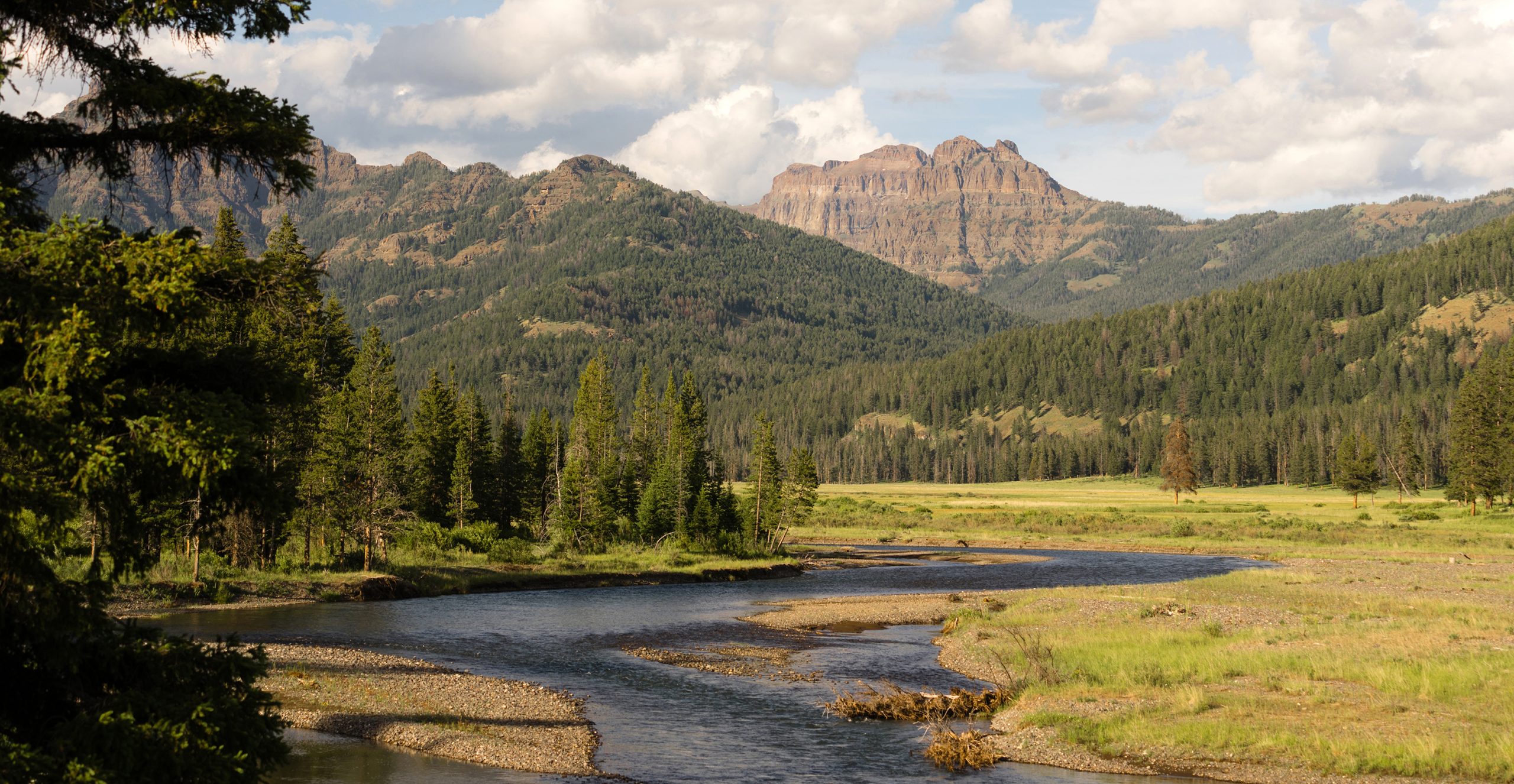 First Time Visiting Yellowstone