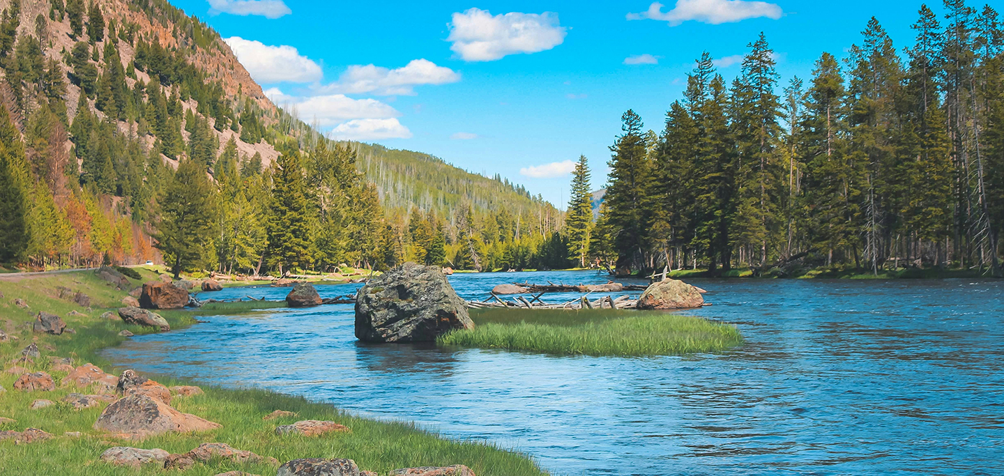 First Time Visiting Yellowstone