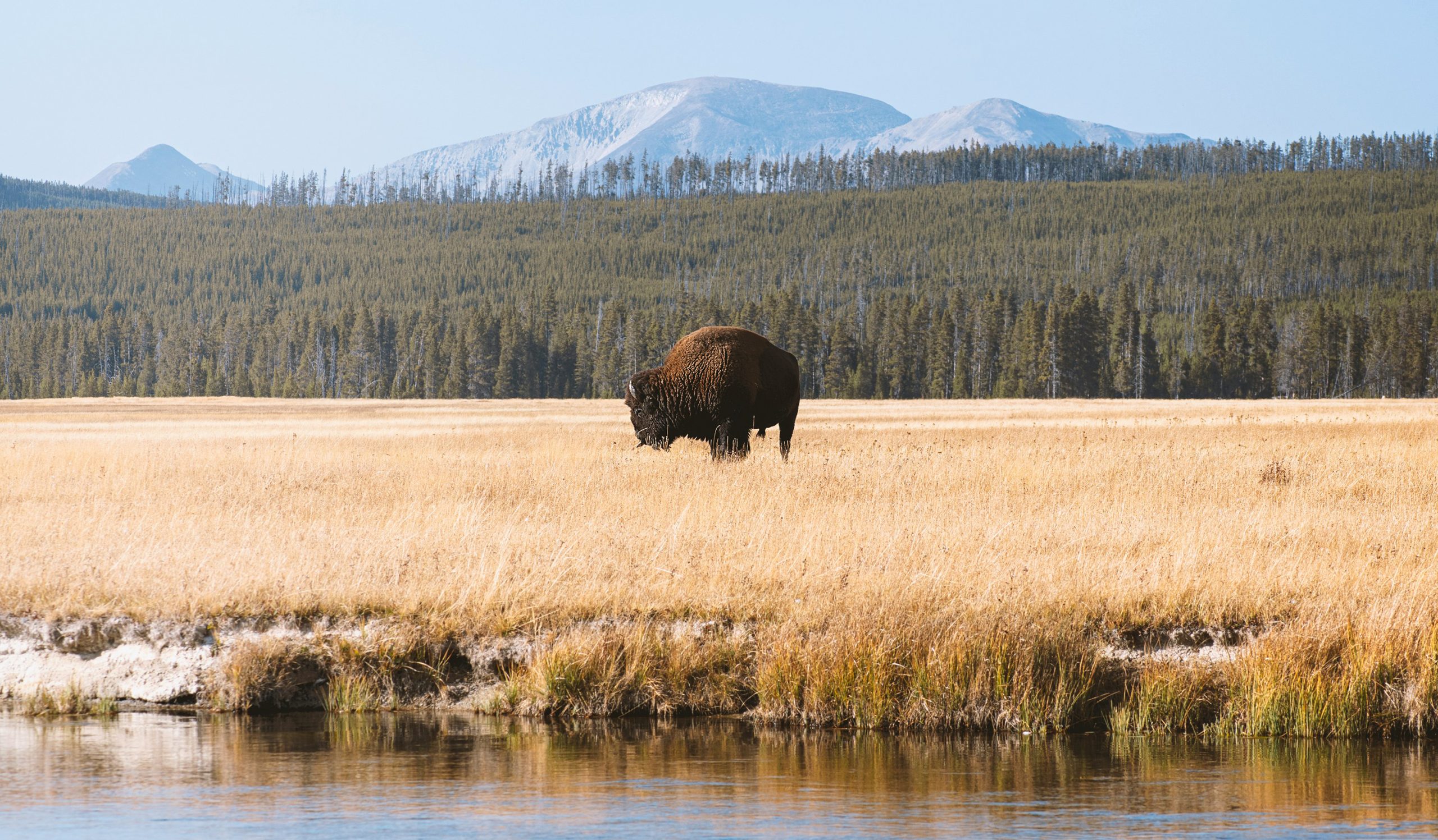 The Ultimate Yellowstone Itinerary: 1 Day to 7 Days 9 Yellowstone Itinerary