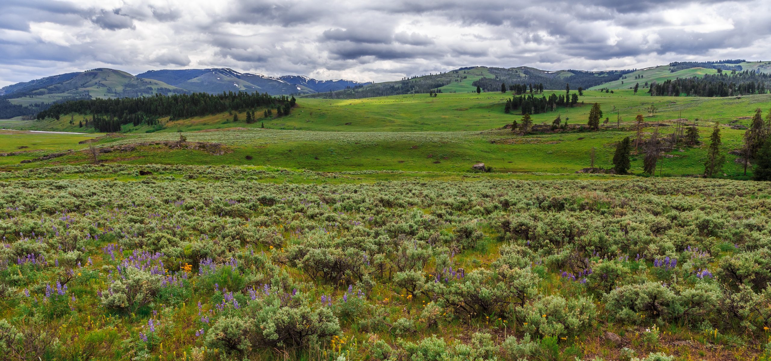 The Ultimate Yellowstone Itinerary: 1 Day to 7 Days 11 Yellowstone Itinerary