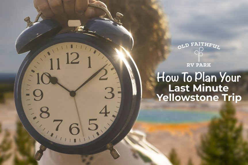 Last Minute Yellowstone Trip