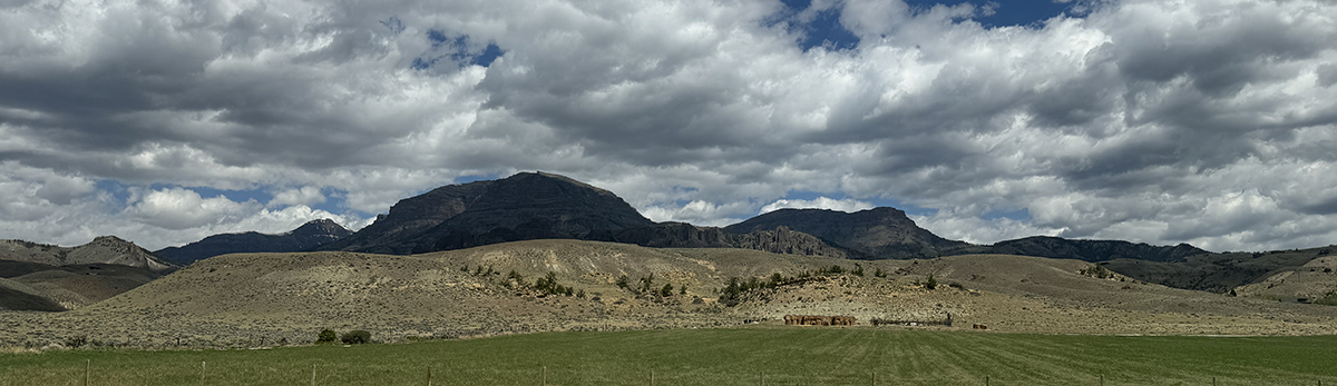 Things to Do in Cody Wyoming: Top 10 Guide to the Rodeo Capital of the World 10 Absaroka Mountains and green pasture along the Buffalo Bill Scenic Byway between Cody Wyoming and Yellowstone National Park