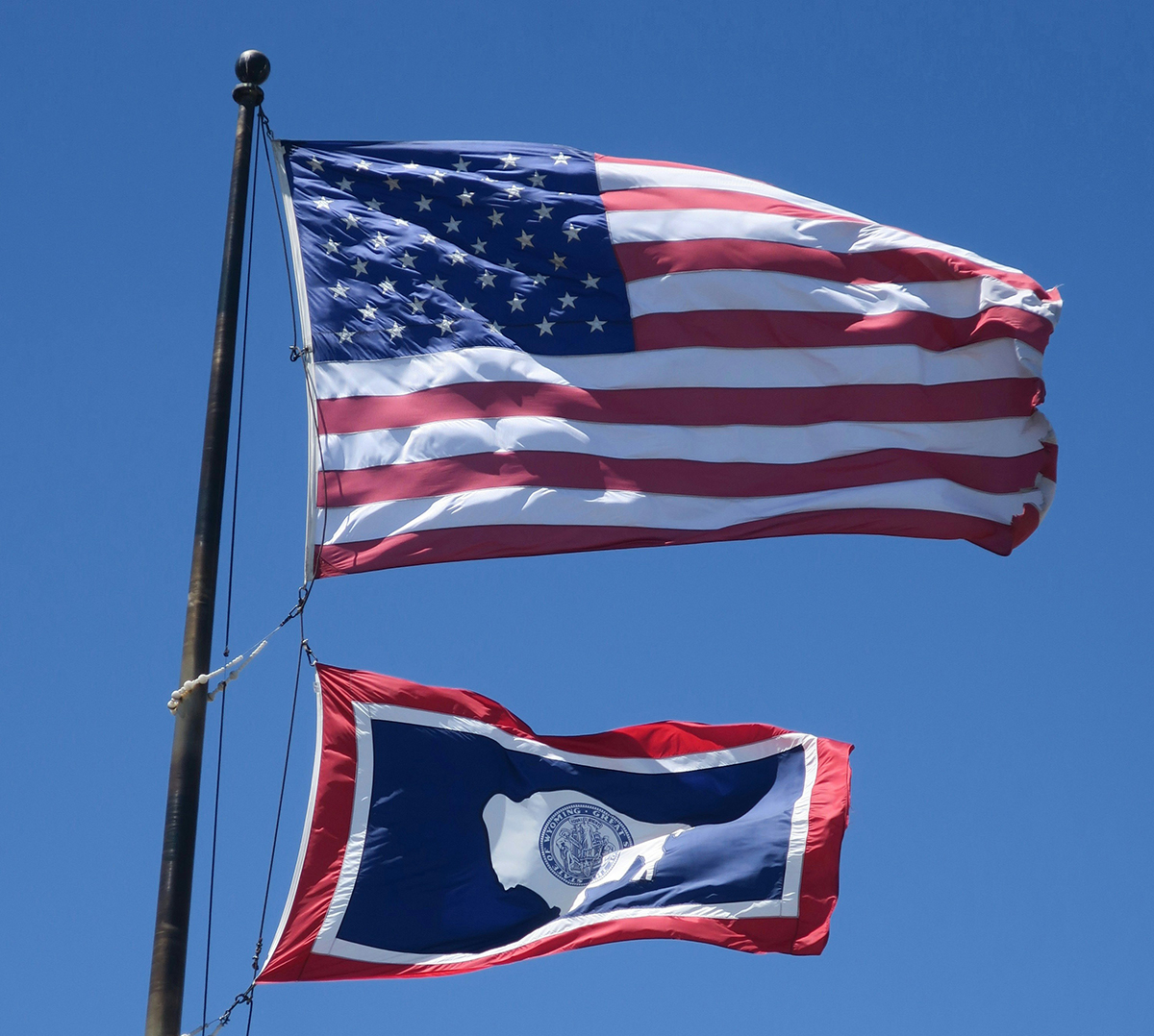 Things to Do in Cody Wyoming: Top 10 Guide to the Rodeo Capital of the World 9 american-flag-wyoming-state-flag-cody-wyoming.jpg