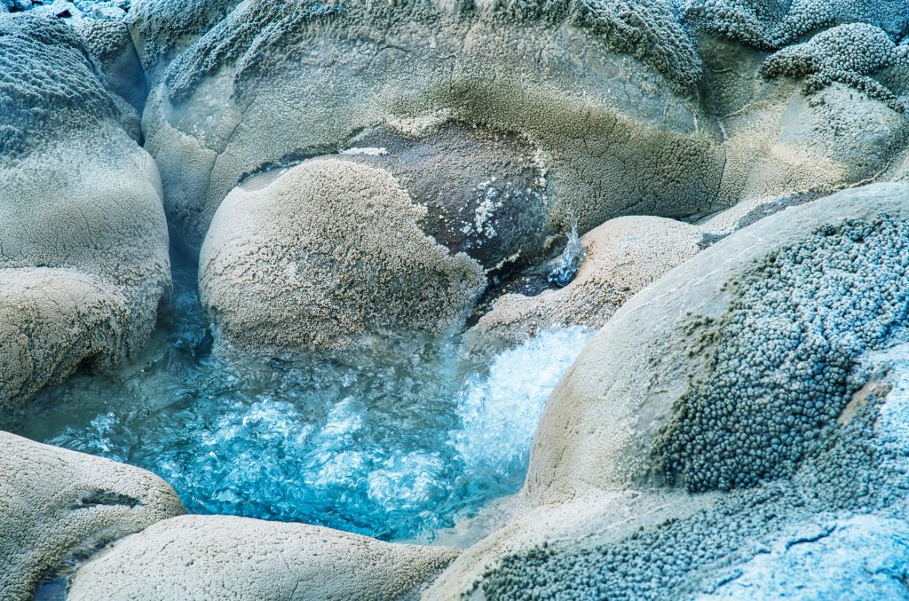 Last Minute Yellowstone Trip