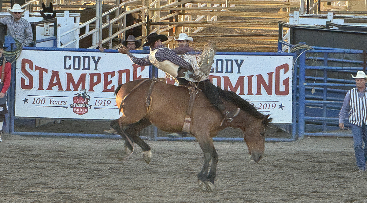 Things to Do in Cody Wyoming: Top 10 Guide to the Rodeo Capital of the World 3 Cowboy riding a bucking bronc at the Cody Stampede Rodeo in Cody Wyoming