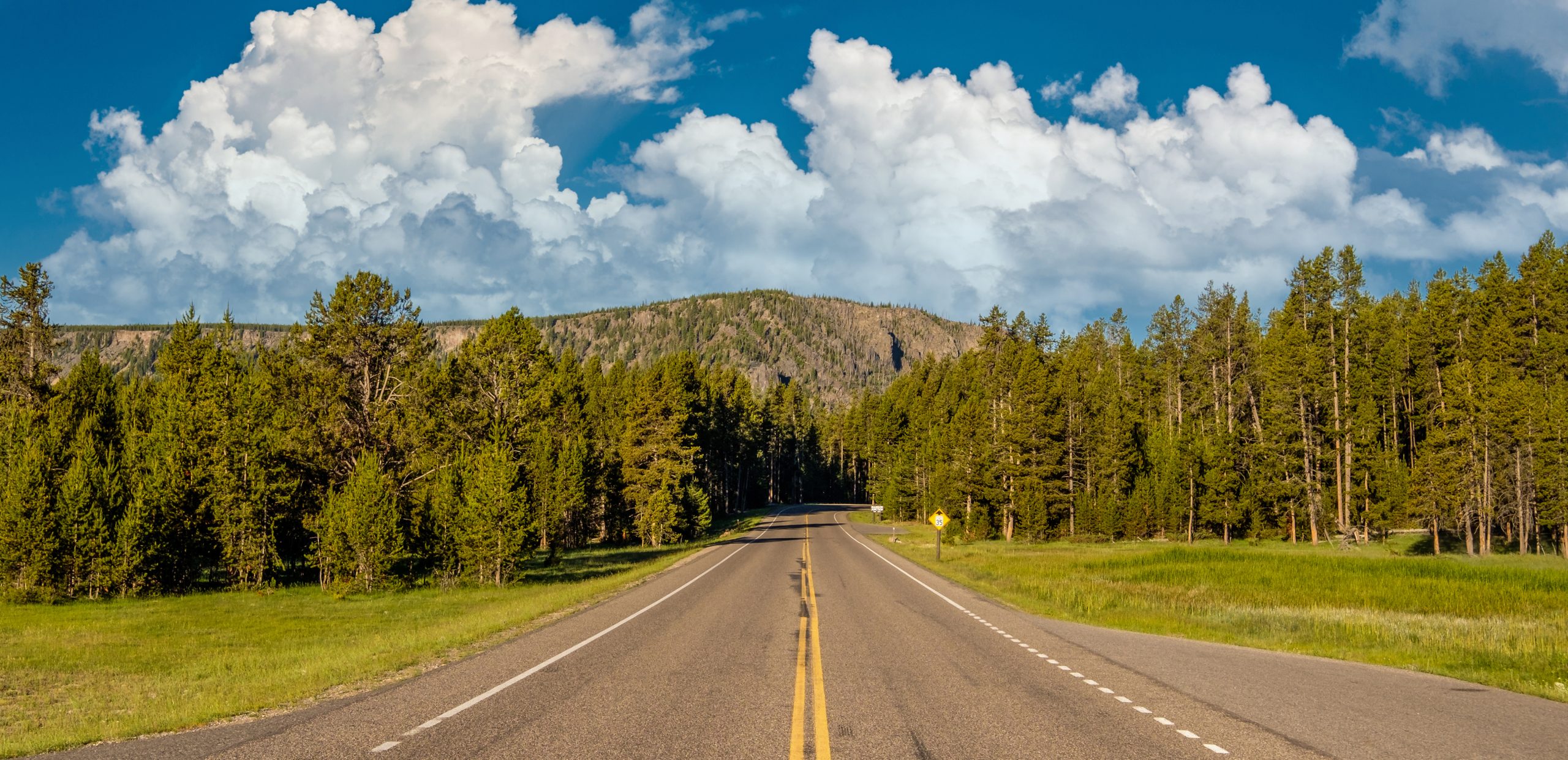Last Minute Yellowstone Trip