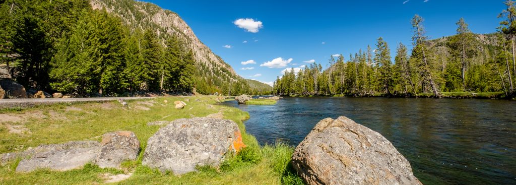 Last Minute Yellowstone Trip