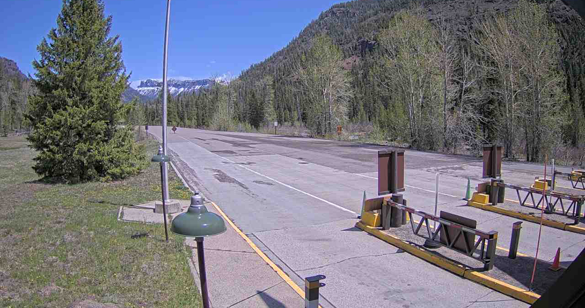 Yellowstone in July: What to Expect and How to Make the Most of It 6 Empty entrance booths and open road at the Yellowstone East Gate near Cody Wyoming