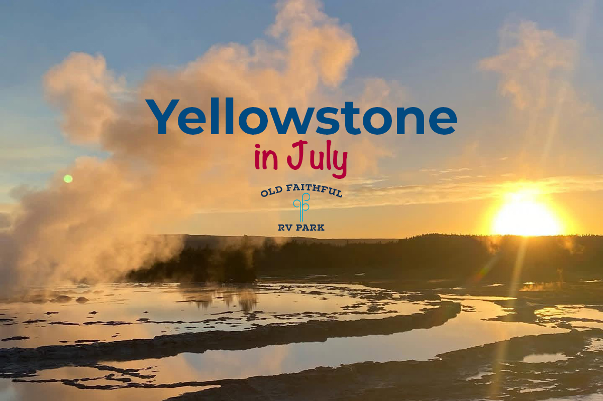 Featured image for “Yellowstone in July: What to Expect and How to Make the Most of It”