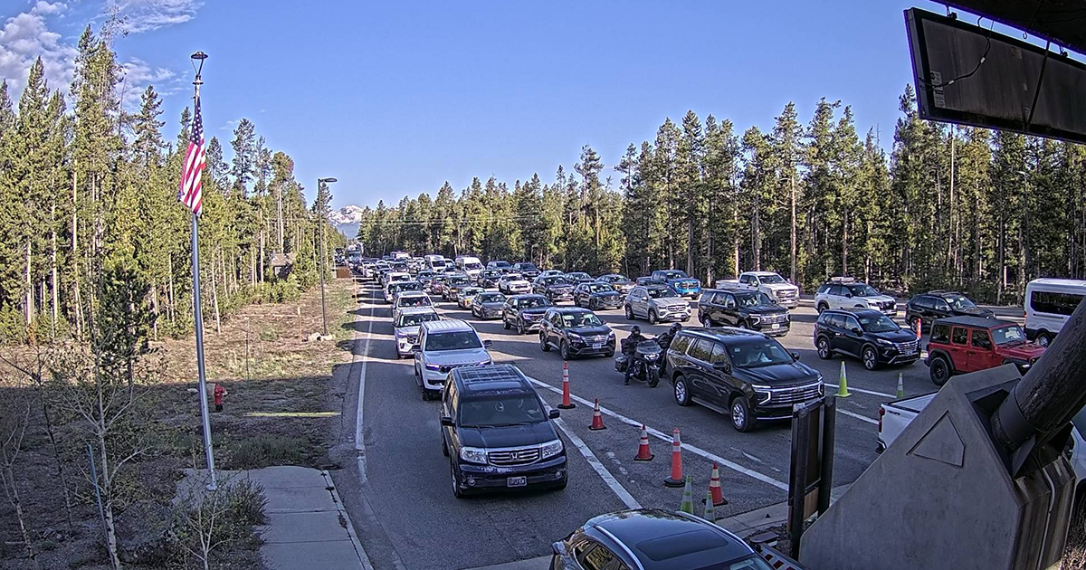 Yellowstone in July: What to Expect and How to Make the Most of It 7 Long line of cars and a motorcycle backed up at a Yellowstone entrance station surrounded by pine trees Yellowstone Crowds