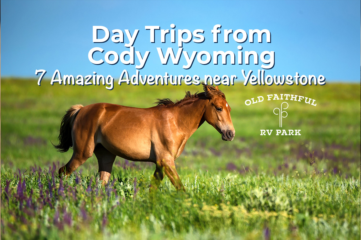 Featured image for “Day Trips from Cody Wyoming: 7 Amazing Adventures Near Yellowstone”