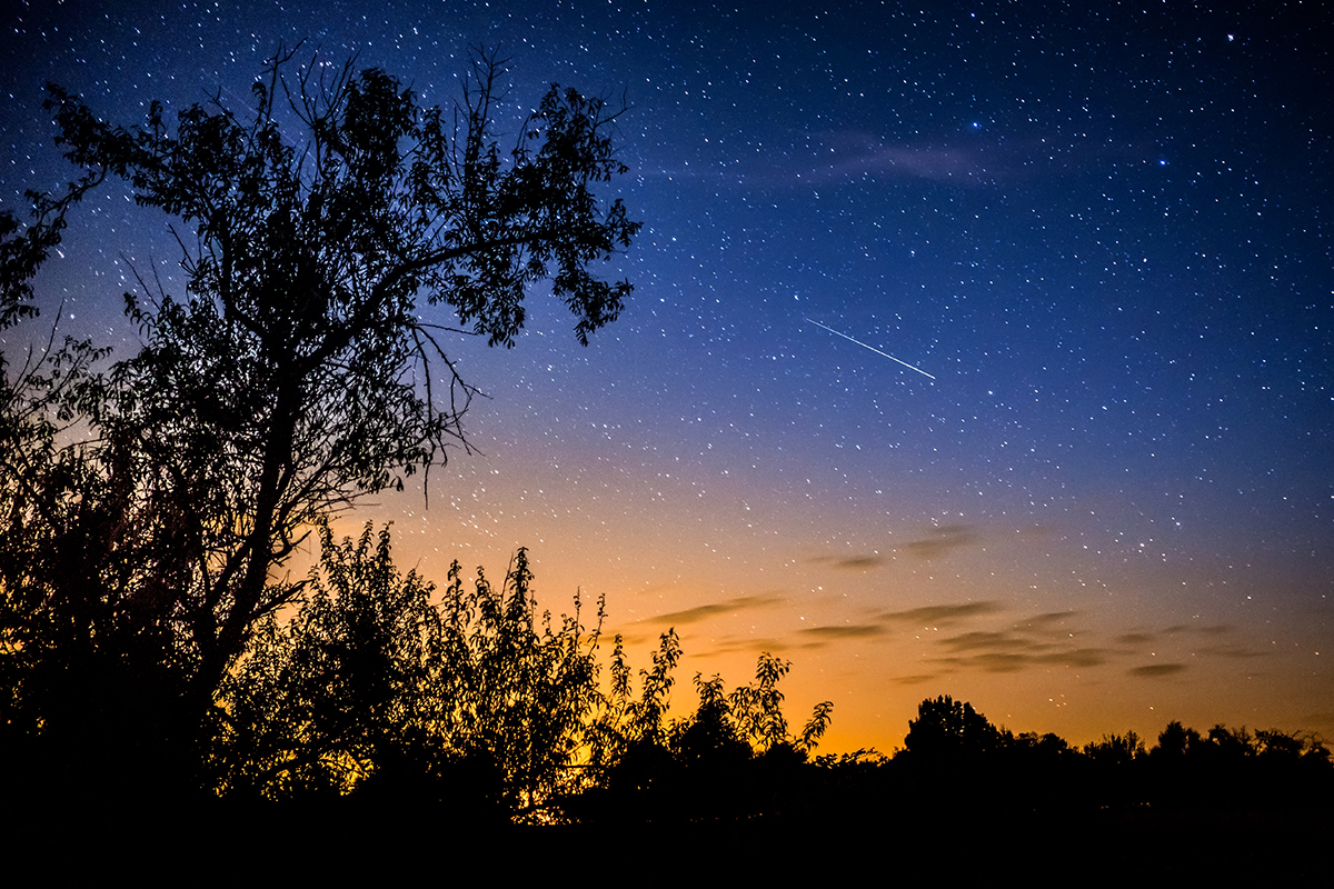 The Perseid Meteor Shower Near Yellowstone: Your Complete 2026 Guide 2 A shooting star streaking across a twilight sky with tree silhouettes during a Perseid meteor shower near Yellowstone