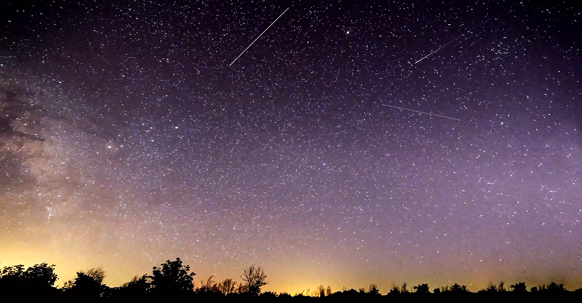 The Perseid Meteor Shower Near Yellowstone: Your Complete 2026 Guide 5 Multiple meteor streaks crossing a purple Milky Way sky above a dark tree line during the Perseid meteor showernear Yellowstone