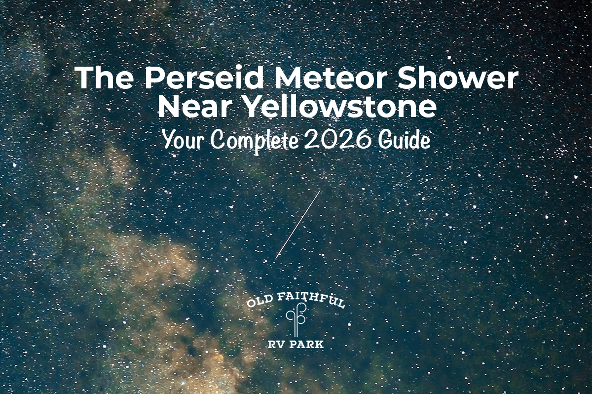Featured image for “The Perseid Meteor Shower Near Yellowstone: Your Complete 2026 Guide”