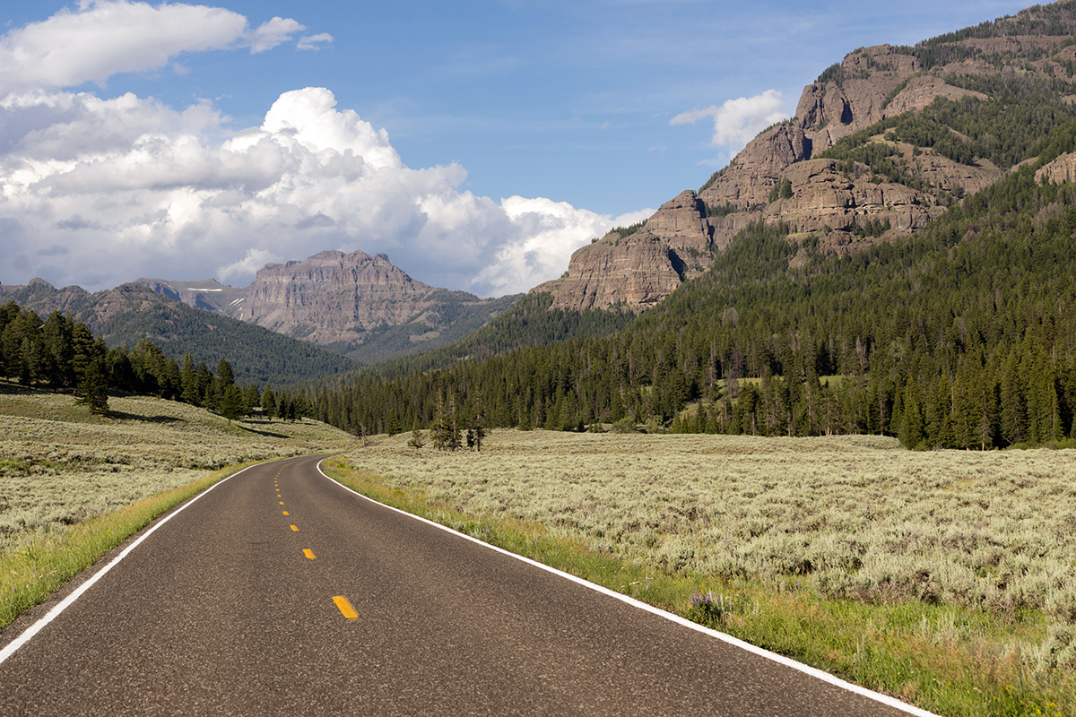 A Yellowstone road stretching into the distance with dramatic storm clouds forming on the horizon during August afternoon weather