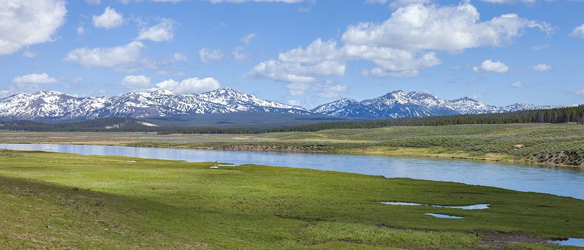 Hayden Valley: The Complete Guide to Yellowstone's Best Wildlife Watching 7 Wide panorama of Hayden Valley with snow capped mountains and the Yellowstone River