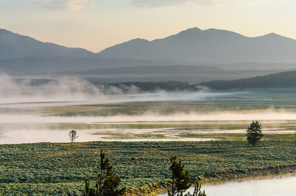 Hayden Valley: The Complete Guide to Yellowstone's Best Wildlife Watching 2 Thin layer of morning mist covering the open grassland of Hayden Valley in Yellowstone