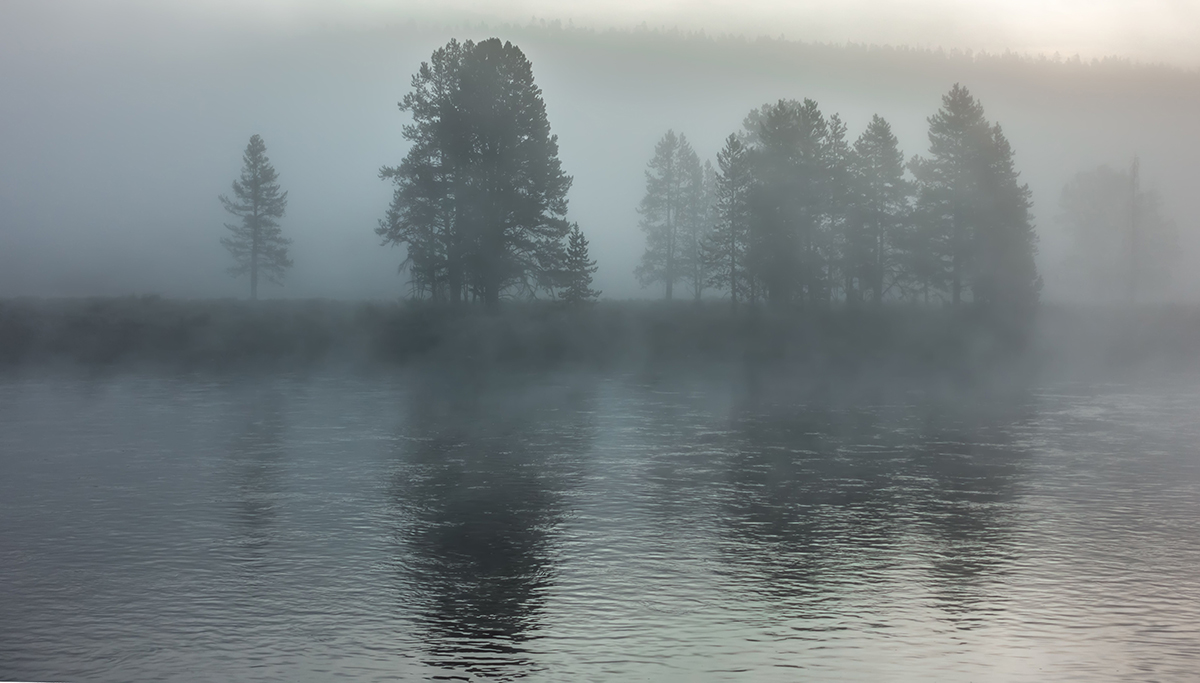 Hayden Valley: The Complete Guide to Yellowstone's Best Wildlife Watching 6 Fog over the Yellowstone River near Hayden Valley with silhouetted pine trees