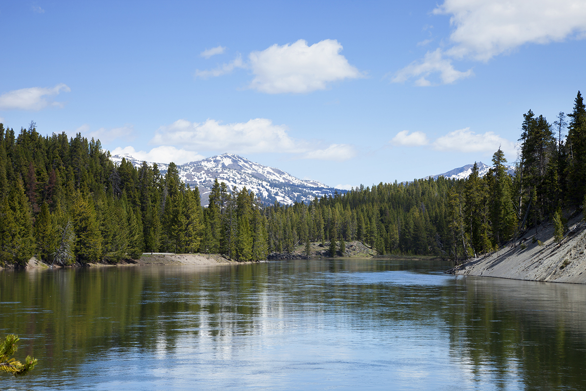 Yellowstone in September: Why It Might Be the Best Month to Visit 2 Bend in the Yellowstone River with snow capped mountains and pine trees