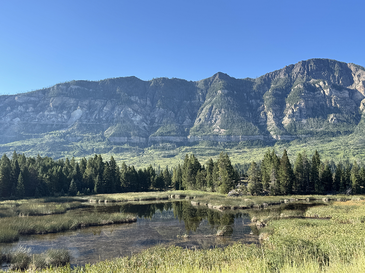 Beartooth Highway: The Complete Guide to One of America's Most Scenic Drives 3 Rocky mountain cliffs reflected in a wetland pond along the Beartooth Highway