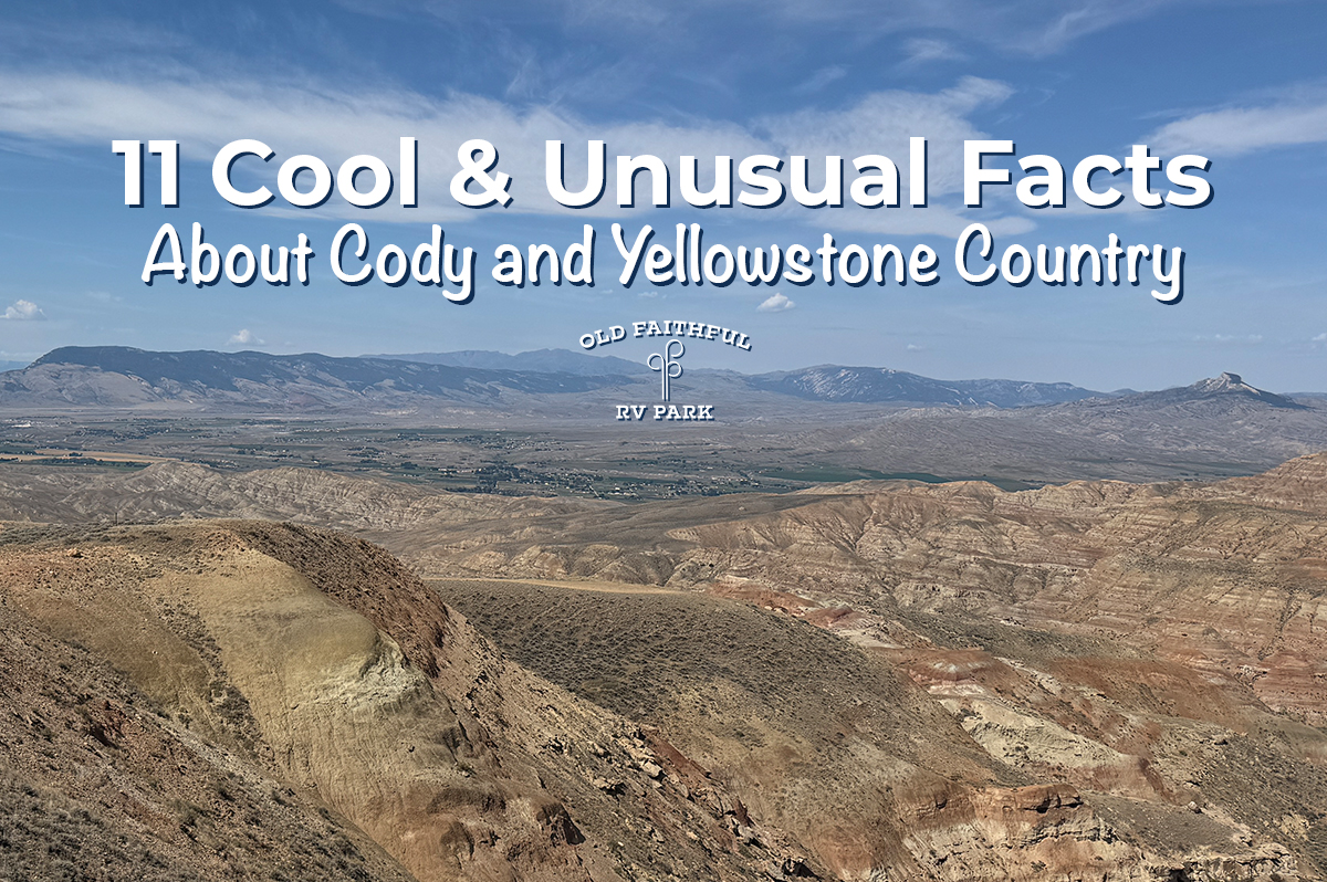 Home 4 Featured image for “11 Cool and Unusual Facts About Cody and Yellowstone Country”