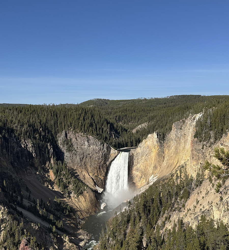 The Grand Canyon of the Yellowstone: A Complete Guide to the North and South Rim 6 Panoramic view of the Grand Canyon of the Yellowstone with Lower Falls under a clear blue sky