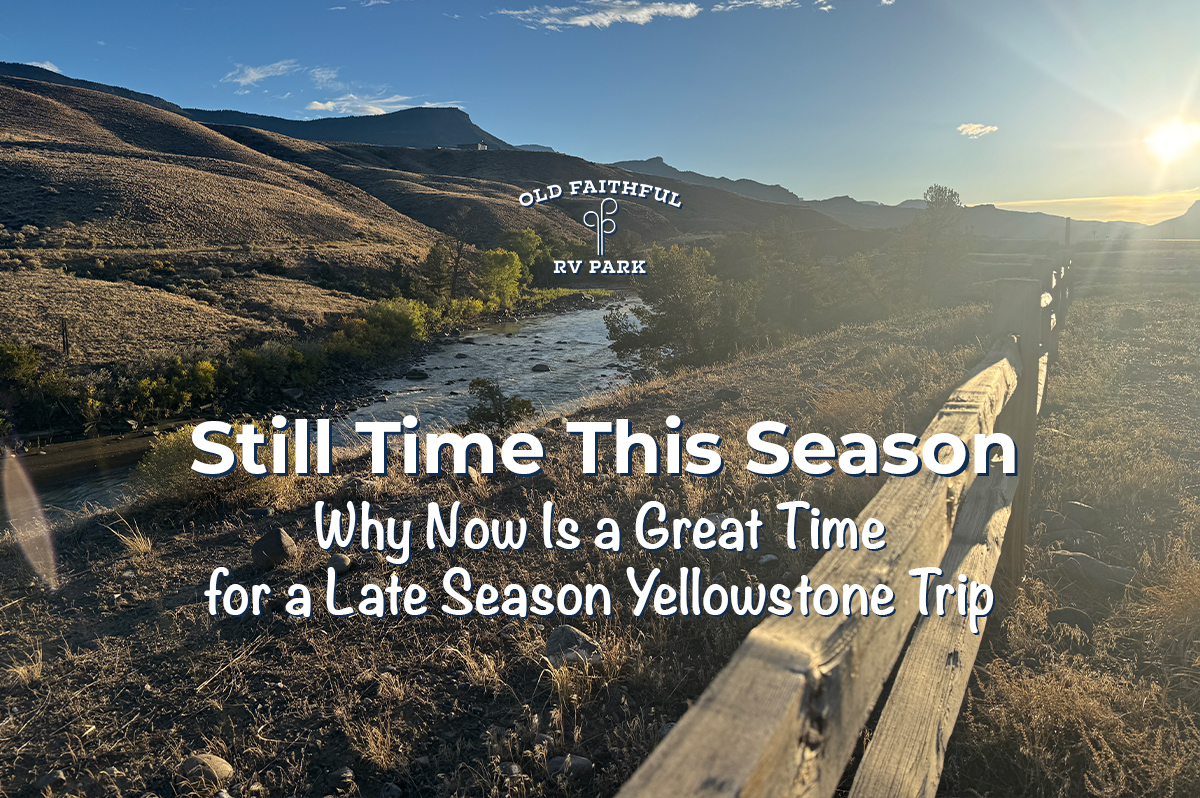 Featured image for “Still Time This Season: Why Now Is a Great Time for a Late Season Yellowstone Trip”