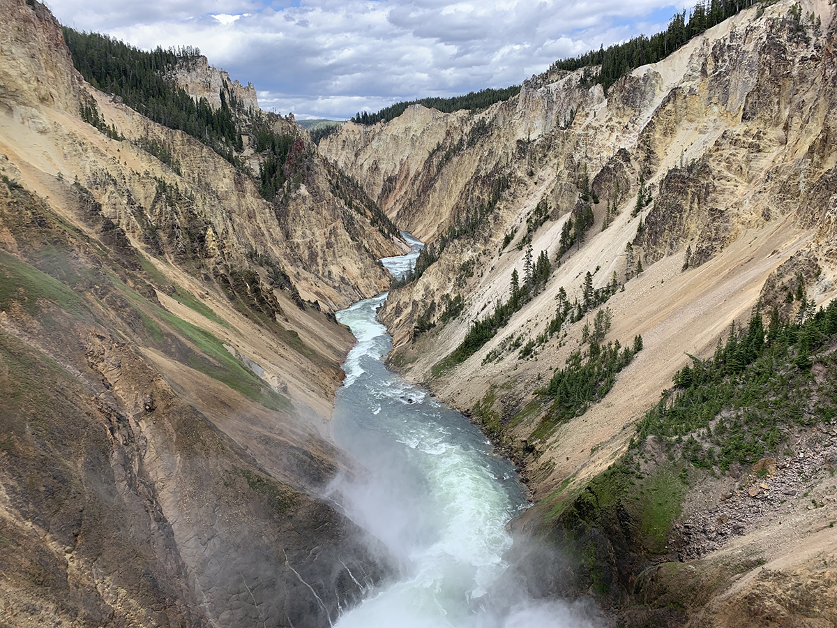 The Grand Canyon of the Yellowstone: A Complete Guide to the North and South Rim 5 Close up view of Lower Falls rushing over the canyon edge with green tinted water