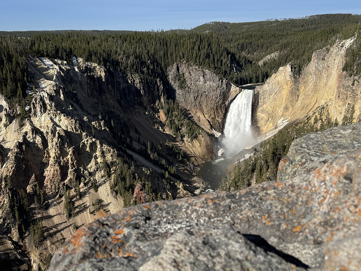 The Grand Canyon of the Yellowstone: A Complete Guide to the North and South Rim 4 Yellowstone River winding through the colorful canyon walls of the North Rim