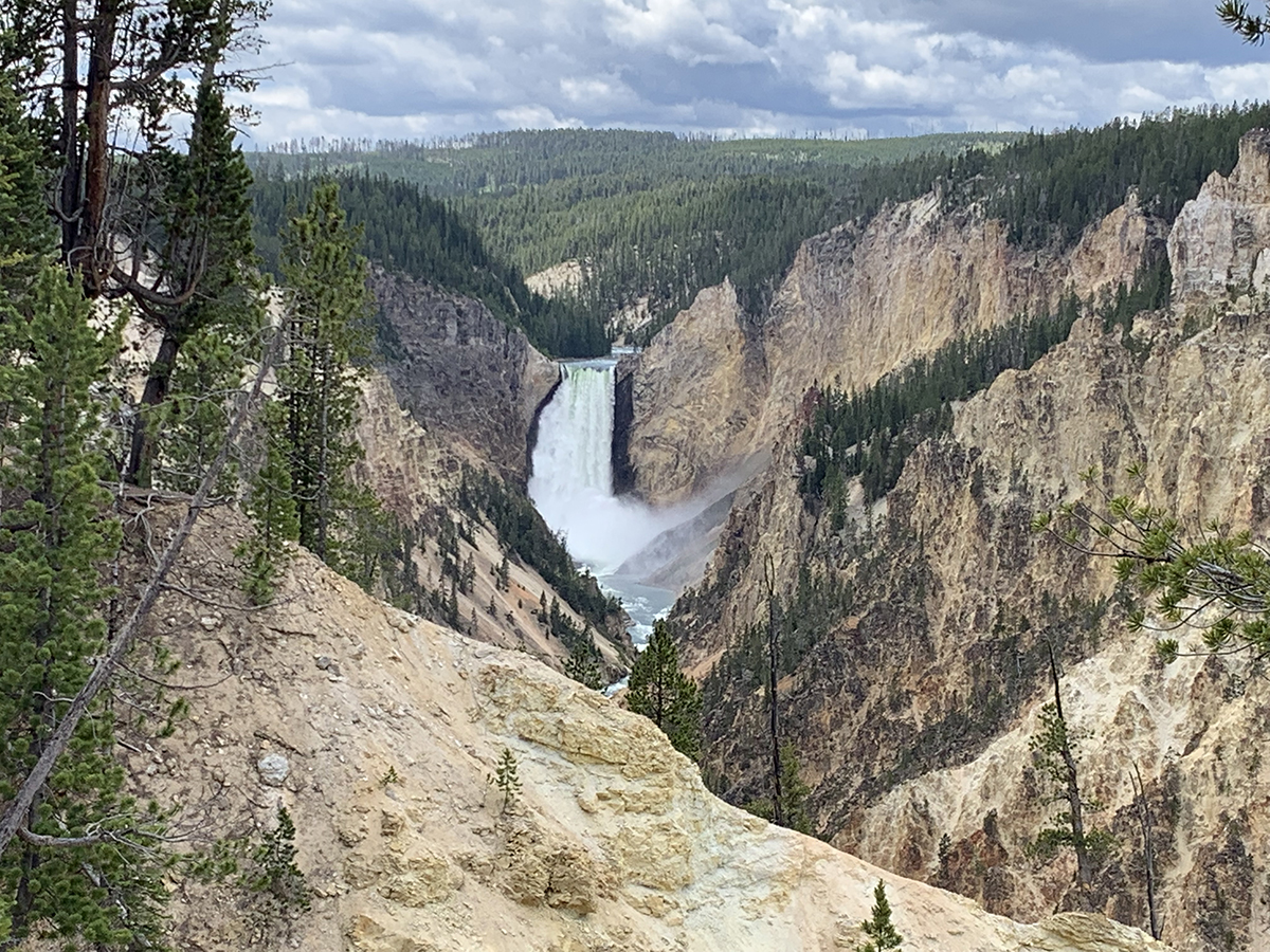 The Grand Canyon of the Yellowstone: A Complete Guide to the North and South Rim 3 Wide view of the Grand Canyon of the Yellowstone with Lower Falls dropping into the colorful canyon