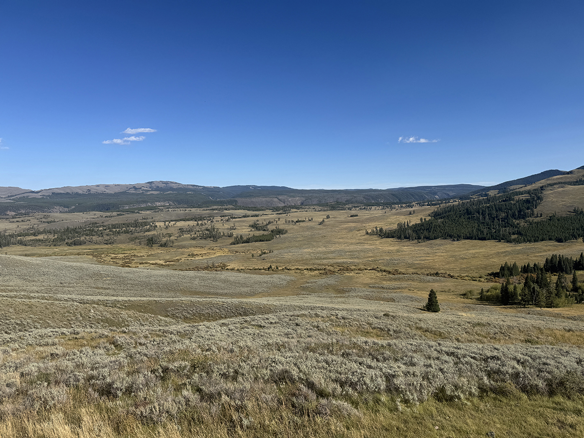 Still Time This Season: Why Now Is a Great Time for a Late Season Yellowstone Trip 6 Wide open Yellowstone valley with golden grass and blue sky in the fall