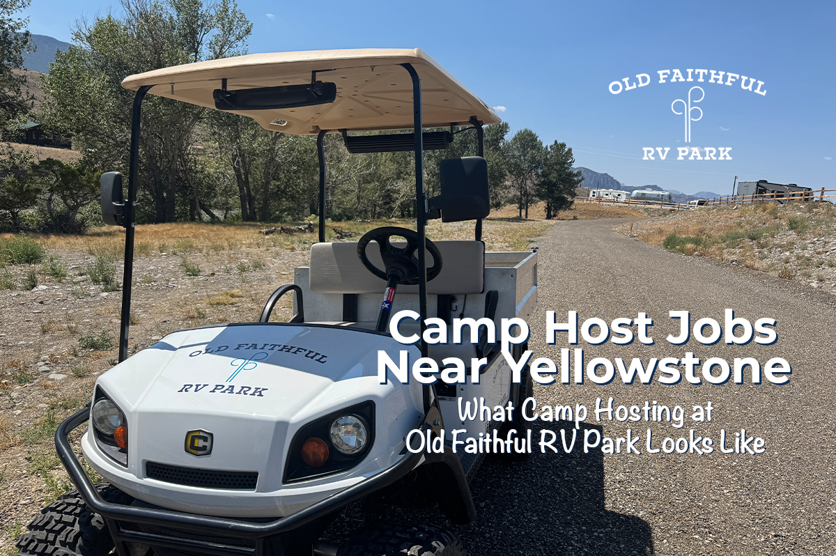 Home 4 Featured image for “Camp Host Jobs Near Yellowstone: What Camp Hosting at Old Faithful RV Park Looks Like”